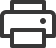 Print Icon